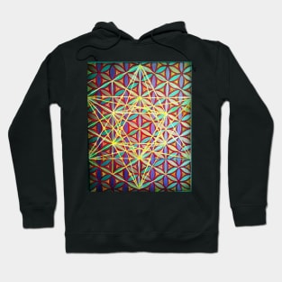 Seeds of Life - Abstract Digital Painting Hoodie